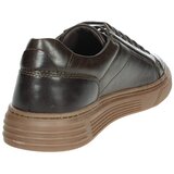 Pregunta 242U413 Smeđa | shoptok.hr