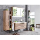 Dieter Knoll KOPALNICA barve hrasta | Shoptok.si