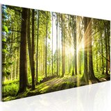  Slika - Daylight 135x45 | shoptok.hr