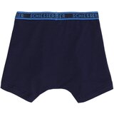 SCHIESSER Spodnjice modra / svetlo modra / temno modra | Shoptok.si