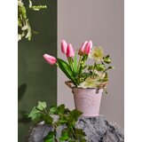 Sinsay Ukrasna biljka – tulipani | shoptok.hr