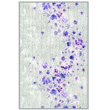 Conceptum Hypnose tepih Eexfab433, 80x120cm, šareni | Eponuda.ba