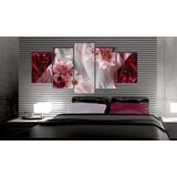  Slika - Incarnadine Comet 200x100 | shoptok.hr