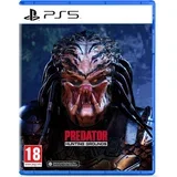 Hunting Grounds (PS5)