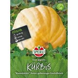 SPERLI Buča "Gran gigante" Cene