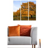 Wallity Set slika MDF170347578, 3 dijela | Eponuda.ba