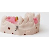 Liqcreate Gingiva Mask, 1.000 g | Eponuda.com