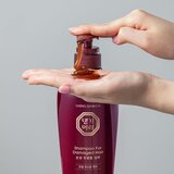 DAENG GI MEO RI Damaged Hair šampon za učvršćivanje za oštećenu i lomljivu kosu 500 ml | shoptok.hr