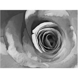 Tapeta - Paper rose 200x154 | shoptok.hr