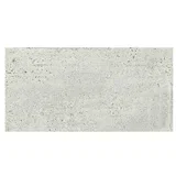Granitogresne ploščice Newstone (59,8 x 29,8 cm, Svetlo siva, Mat)