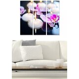 Wallity Set slika MDF2877511, 3 dijela | Eponuda.ba