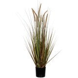  Umjetna biljka Cynosurus cristatus (Visina: 150 cm, Plastika) Cijene