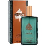 Aspen kolonjska voda 118 ml za moške | Shoptok.si