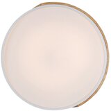  Stropna rasvjeta - Maple | shoptok.hr