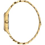  ROČNA URA DANIEL KLEIN DK.6.14185-3 | Shoptok.si