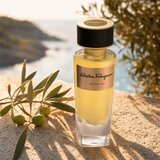 Salvatore Ferragamo Punta Ala parfemska voda unisex 100 ml | shoptok.hr