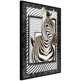  Poster - Zebra in the Frame 40x60 | shoptok.hr