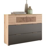 CARRYHOME KOMODA, | Shoptok.si