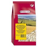 Versele-laga Versele Laga suncokretove sjemenke za ptice bijele 600 g | shoptok.hr