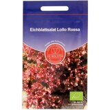 De Bolster Solata iz hrastovih listov "Lollo Rosso" | Shoptok.si