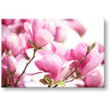  Slike na platnu cveće (moderne slike na platnu) | ePonuda.com