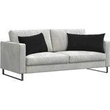 vidaXL Blazine za kavč 2 pcs Črna 80 x 40 cm Žametna tkanina | Shoptok.si