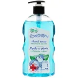 Antibakterijski tekući sapun s aloe verom 650ml.