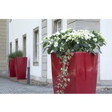 DEGARDO Lonec za rože, TREVIA IV, VxŠxG 900 x 470 x 470 mm, rubinasto rdeče barve | Shoptok.si