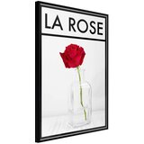  Poster - Rose in the Vase 40x60 Cijene