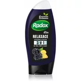RADOX Men Feel Wild gel za tuširanje za lice, tijelo i kosu za muškarce Blackberry & Ginger 250 ml