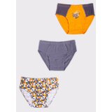 Yoclub Kids's 3Pack Boys' Briefs BMC-0033C-AA30-002 | shoptok.hr