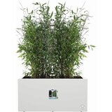 ELHO Korito za rastline vivo next lang - 80 cm Cene