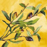 PPD Olive Musée - 33 x 33 cm | Shoptok.si