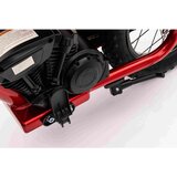 Ramiz Električno motorno kolo BAIGOR 23 Pro 250 W rdeča | Shoptok.si