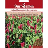 Dürr Samen Zeleno gnojilo "Inkarnatka" - 75 g Cene