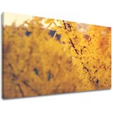  Slike na platnu cveće (moderne slike na platnu) | ePonuda.com