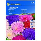 KIEPENKERL Profi-Line Sjeme cvijeća Lijepa kata Strahlen Mix (Callistephus chinensis, Raznobojno) | shoptok.hr
