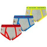 Licensed Boy's briefs Paw Patrol 3P - Frogies | shoptok.hr