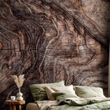  Foto tapeta - Signs of the times - an abstract background with the wrinkled bark of an old tree 100x70 Premium | shoptok.hr