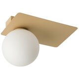  plafonsko svetlo argon 1xG9/12W/230V zlatno | Eponuda.com