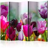  Paravan u 5 dijelova - Beautiful Tulips II [Room Dividers] 225x172 | shoptok.hr