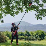 Einhell Akumulatorska pila teleskopska GC-LC 18/20 Li T - Solo | shoptok.hr