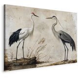 Slika - Birds from an old engraving - vintage-style illustration depicting a heron and a crane 60x40 Na talijanskom platnu | shoptok.hr