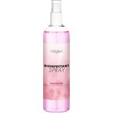 Satisfyer Women Disinfectant Spray 300ml | shoptok.hr