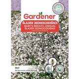 Gardener Šlajer jednogodišnji, u