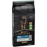 Pro Plan PURINA Large Robust Puppy Sensitive Digestion janjetina - 2 x 12 kg | shoptok.hr