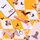 Essence DOG GANG OR CAT CREW?!? DOG LOVERS tonirani balzam za ustnice s peptidi odtenek 01 Best Buddy 13 ml | Shoptok.si