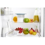 Lékué Aparat za kefir in jogurt - 1 kos | Shoptok.si