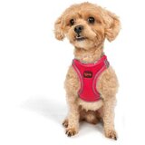 Paws & Whiskers Am za pse Air Mesh Neo Pink XL | Eponuda.com
