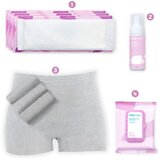 Frida Mom Postpartum Kit - komplet za oporavak nakon poroda | Shoptok.si